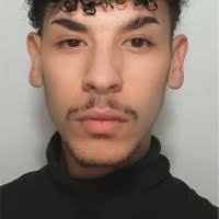 40+ "David Gregori" profiles