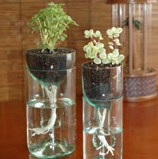 Isipadu diukur dengan ml dan l. Easy Peasy Ini 6 Cara Bertanam Hidroponik Dengan Botol
