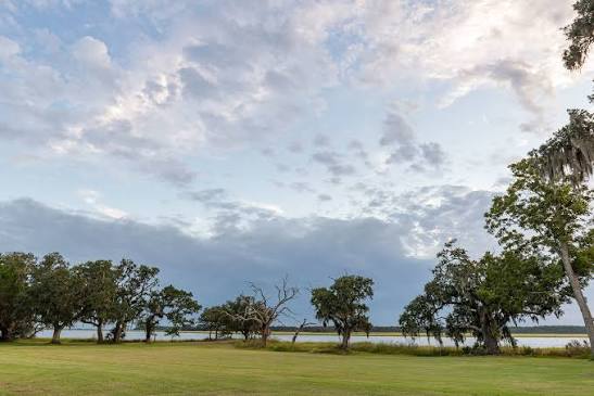 Dill Sanctuary Exhibit | Charleston Museum | Charleston, SC
