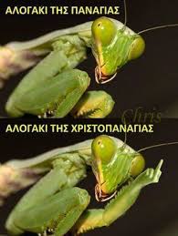 images?q=tbn:ANd9GcRKuYjeFXv28Uo6mqbaXke