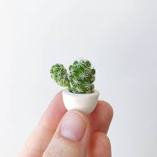 From low maintenance cacti to beautiful mini roses, add a dose of greenery to your living space with the selection of house plants from homebase. Create A Succulent Garden Featuring These Miniature Cacti Martha Stewart