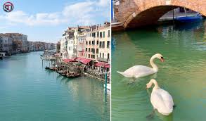 These Pictures Show How Nature Is Healing Itself Amid Coronavirus ...