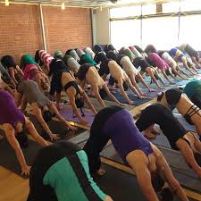 Downward Facing Dog Heath And Fitness Yoga Benefits Yoga Health