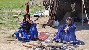 نتیجه جستجوی لغت [nomadic] در گوگل