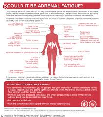 Symptoms Of Adrenal Fatigue And What To Do Laura London Adrenal Fatigue Adrenal Fatigue Symptoms Adrenal Health