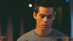 Always Keep Fighting. — Imagine #21 Stiles [Requested]