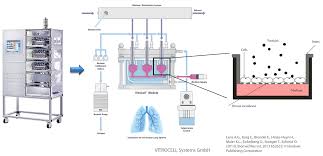 We did not find results for: Silver Wissensplattform Nanopartikel Info