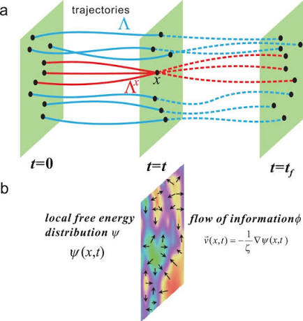 Local non-equilibrium thermodynamics | Scientific Reports