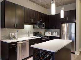 Amli Lofts Luxury South Loop Apartments In Chicago Contemporary Kitchen Contemporary Kitchen Design Kitchen Design