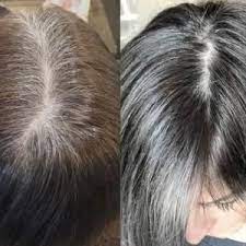 Gray Is Beautiful But Roots Aren T Is It Tome For You Or Your Client To Embrace Your Grey Ha Transition To Gray Hair Gray Hair Growing Out Blending Gray Hair