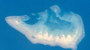 Nostradamus Ramal Indonesia dan Australia Berebut Kekuasaan di Laut Hindia,  Isu Pulau Pasir Terjawab