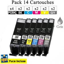 Les cartouches d'encre canon sont disponibles sur notre site à des prix très compétitifs. Pack Des Cartouches Canon Pgi550 Cli551bcmy A Partir De 9