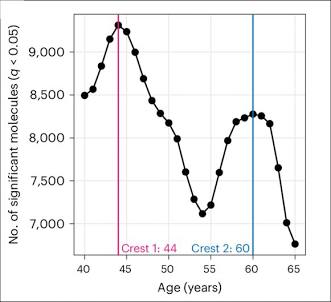 The two crests of biological aging, AI generated