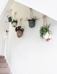 How To Create A Wall Of Plants Plant Wall Plant Decor Hanging Plants