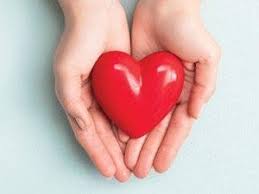 Purchase Area Family Magazine, October-November 2020 Edition by Purchase  Area Family Magazine