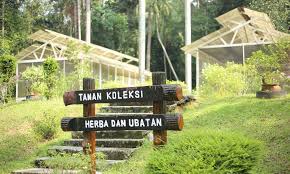 Apabila seseorang itu melakukan aktiviti pertanian, ia akan lebih membuatkan seseorang itu memahami hakikat sebenar bertawakal kepada allah swt yang berkuasa menghidup dan mematikan. 11 Pusat Pelancongan Agro Popular Di Malaysia Sesuai Untuk Keluarga Berlibur Libur