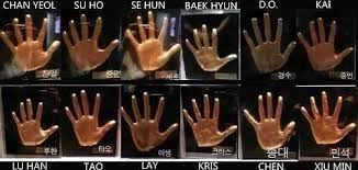 Exo Hands Sehun Exo Tiny Hand