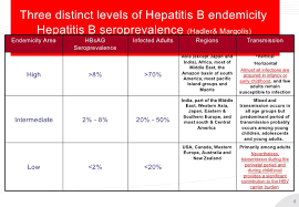 Hepatitis B Vaccine Revisited Ideal Schedule Recommendations