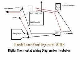 Overview light can not be. Here S The Wiring Diagram For The Digital Thermostat And Solid State Relay For Incubator Installation Hope T Digital Thermostat Thermostat Wiring Thermostat