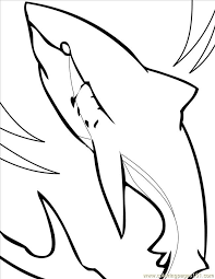 Many of today's baths, especially in builder homes, are plain white. Great White Shark Coloring Pages Coloring Home