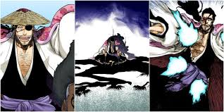 Bleach: 10 Things Anime-Only Fans Don't Know About Shunsui Kyoraku