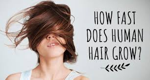 How much can your hair grow in six months? How Fast Does Human Hair Grow The Average Number