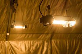 It includes red, blue, orange, white, and warm. Choosing The Right Grow Light