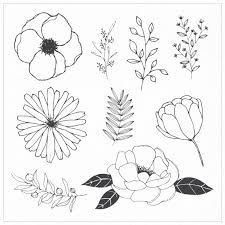 This tutorial is perfect for all art enthusiasts. Free Vector Hand Drawn Flowers And Leaves