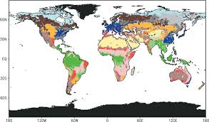 We did not find results for: Https Www Scielo Br J Aabc A Pfqmz4tmfzzxwkvdqnkzrdh Lang En Format Pdf