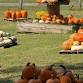 2026 Pumpkin Patch Opening Day