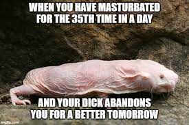 Best 30 Naked Mole Rat Fun On 9gag