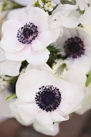 Black Tie New Jersey Estate Wedding Flower Bouquet Wedding Tropical Wedding Flowers Beautiful Flowers