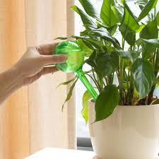 Stein's garden & home | stein's garden & home is proudly planted in wisconsin and growing with you since 1946. 2 Standard 2 Large Huvai 4 Pack Glass Self Watering Bulb Watering Globes Perfect For Vacation Plant Watering House Plant Glass Self Watering System Watering Equipment Automatic Irrigation Equipment Urbytus Com