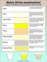 ayurvedic urine diagnosis chart