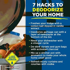 Maybe you would like to learn more about one of these? Guarantee Carpet Cleaning Home Facebook