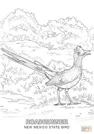When it gets too hot to play outside, these summer printables of beaches, fish, flowers, and more will keep kids entertained. Http Www Supercoloring Com Sites Default Files Styles Coloring Full Public Cif 2015 08 New Mexico State Bird C Bird Coloring Pages Coloring Pages State Birds