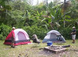 Check spelling or type a new query. Toro Negro Puerto Rico