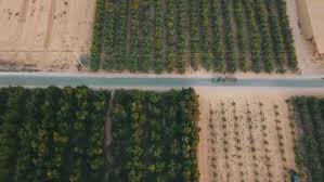 În fiecare zi, ne batem joc de pasari, de iubire si de mare, si nu bagam de seama ca, în loc, ramîne un desert de disperare. Romania Vs Israel Avem O ReÅ£ea HidrologicÄƒ De Care Ne Batem Joc In Timp Ce Israelienii ObÅ£in ApÄƒ Din PiatrÄƒ SeacÄƒ Stirileprotv Ro