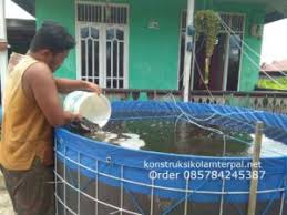 Budidaya Lele Bioflok Menguntungkan Kah 1 Jual Kolam Terpal Bulat Berkualitas Paling Murah