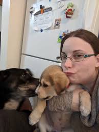 Found female Malinois puppy in Horseshoe Falls Estates