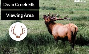 6 miles from coos bay boardwalk. Things To Do In Coos Bay Dean Creek Elk Viewing Area