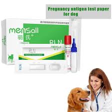 Ultrasound is safe during pregnancy. Canine Rlx Early Pregnancy Test 99 Accuracy Nice B4k4 Ebay