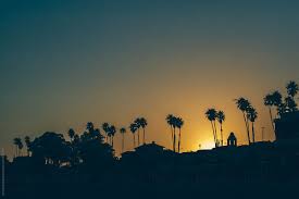 Maybe you would like to learn more about one of these? Sunset With Silhouettes Of Palm Trees In A California Beach Town By Carolyn Lagattuta Palm Tree Sunset