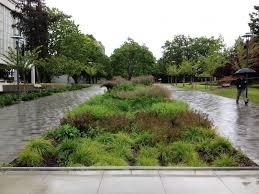 Turning Rainfall Into A Resource Rain Garden Landscape Urban Garden Rain Garden