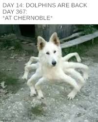 Memes Overload Chernobyl Memes Gifs Imgflip