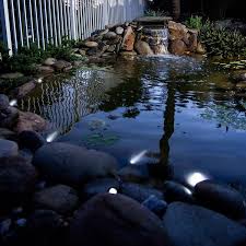Led Teichbeleuchtung Ideen Und Tipps Fur Schone Lichteffekte Im Garten Dekoration Gram Teichlichter Teichbeleuchtung Pool Beleuchtung