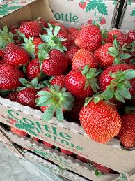 🍓🍓🍓 Wednesday, June 5th.. Names of the day for a FREE quart of  strawberries are Levi, Faith, Tracy, Betsy, Latoya, Evie, and N'namdi. Pick  up your free quart only at our farm