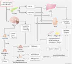 Hypoglykamie Die Unterschatze Gefahr Bei Diabetes Mellitus