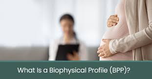 Image result for Biophysical Profile