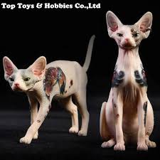 Sphynx cat tattoo has been going on for several years now, however, one case incredibly became viral in russia two years ago. In Stock 1 6 Scale Jxk026 Tattooed Hairless Cat Sphinx Model Animal Figure Toys For Gift Collectible Statue Action Figures Aliexpress